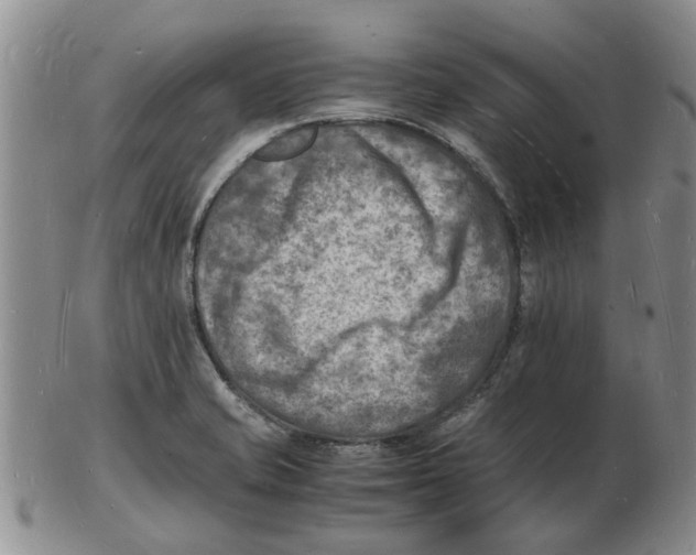 X0000102781421200809151052