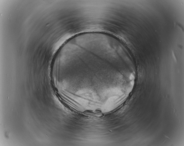 X0000102781422200809151052