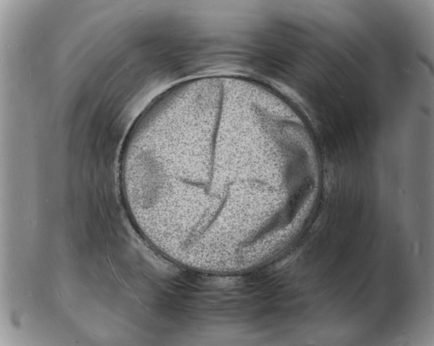 X0000102781423200809151052