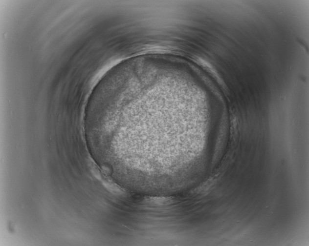 X0000102781427200809151052