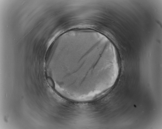 X0000102781428200809151052