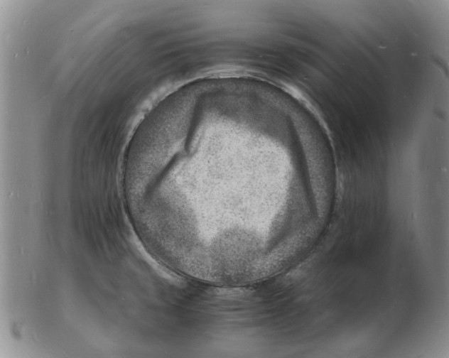 X0000102781429200809151052