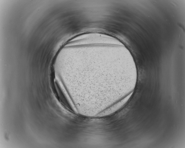 X0000102781430200809151053