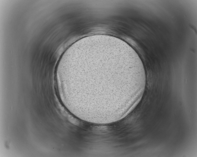 X0000102781431200809151053