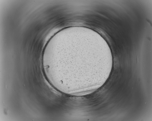 X0000102781432200809151053