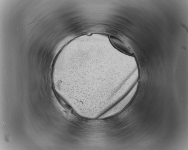 X0000102781434200809151053