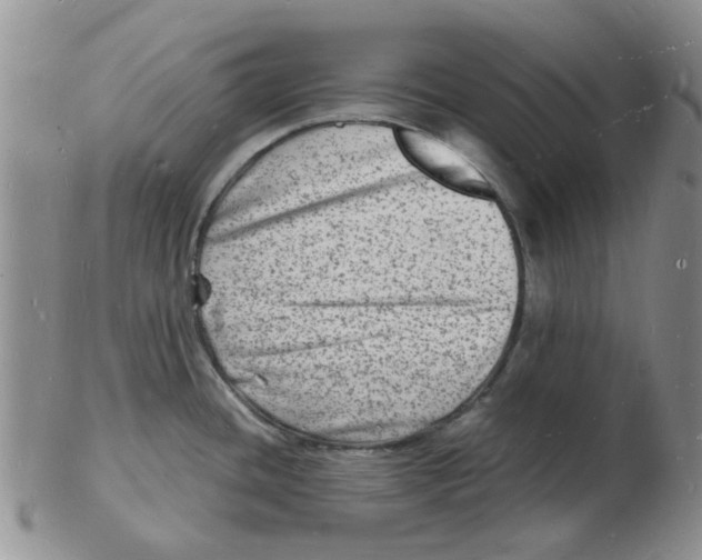 X0000102781436200809151053