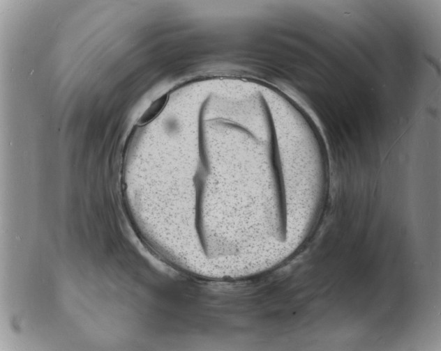 X0000102781437200809151053