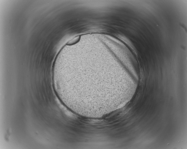 X0000102781439200809151053