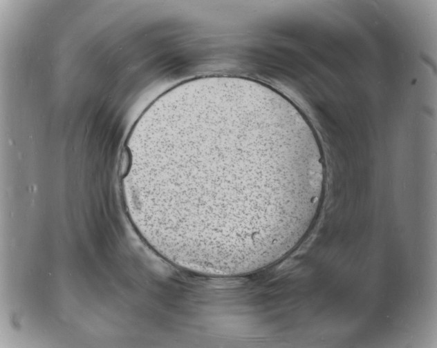 X0000102781440200809151053