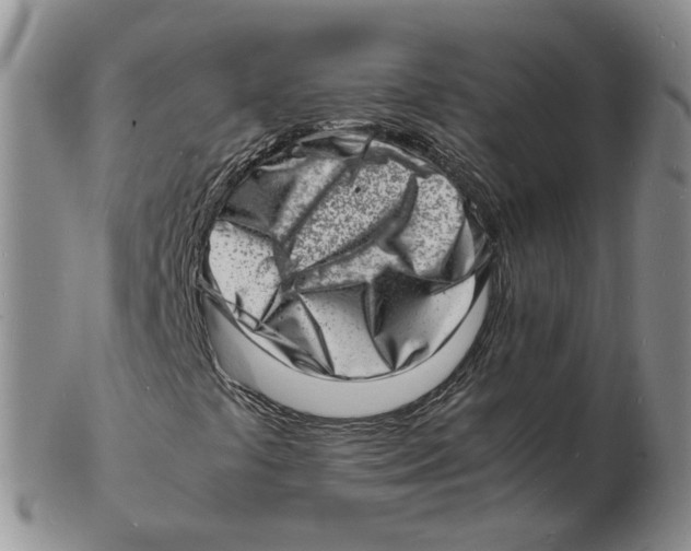 X0000102781441200809151052