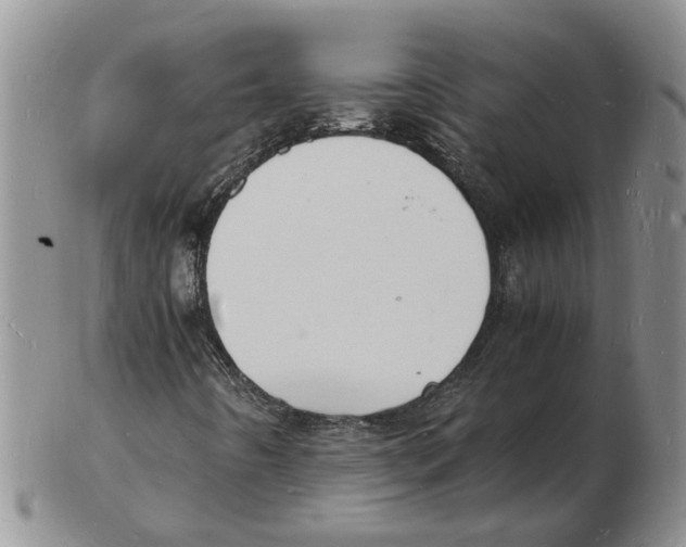 X0000102781442200809151052