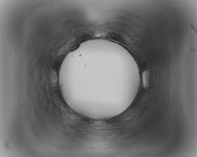 X0000102781443200809151052