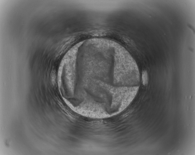 X0000102781444200809151052