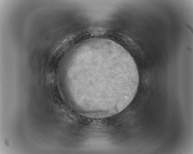 X0000102781445200809151052