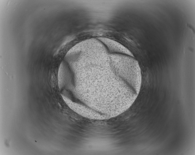 X0000102781446200809151052