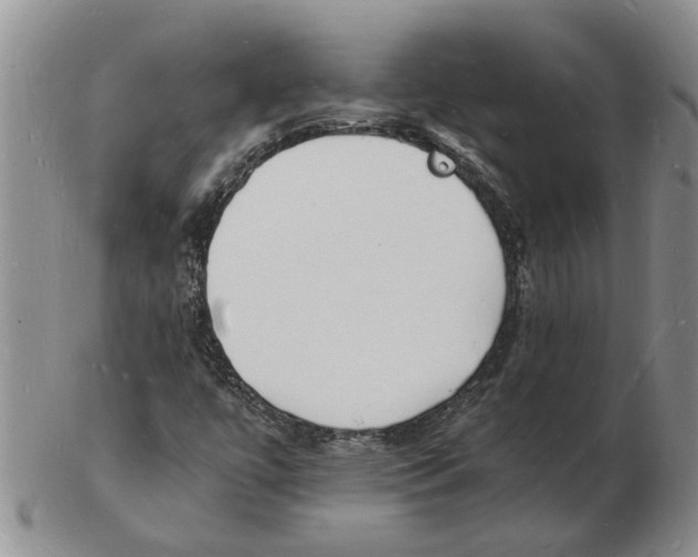 X0000102781447200809151052