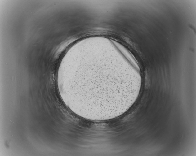 X0000102781453200809151052