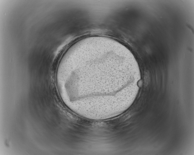 X0000102781454200809151052