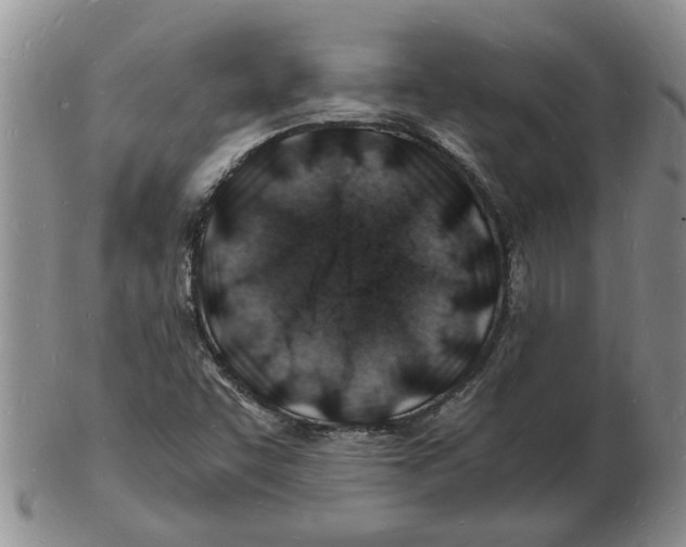 X0000102781455200809151052