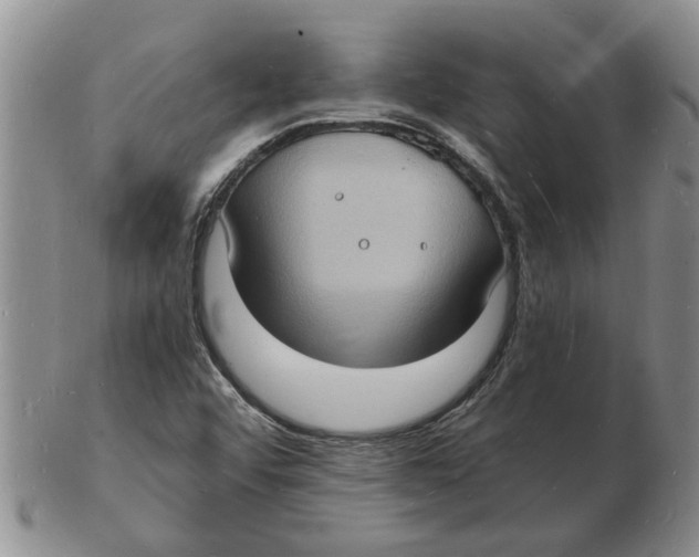 X0000102781456200809151052