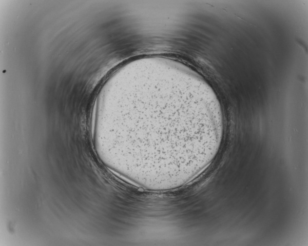 X0000102781457200809151052