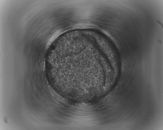 X0000102781459200809151052