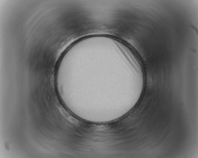 X0000102781460200809151052