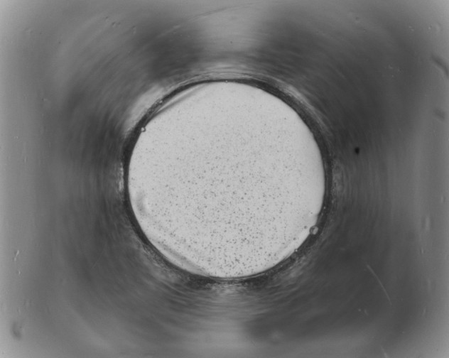 X0000102781461200809151052