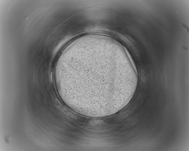 X0000102781462200809151052