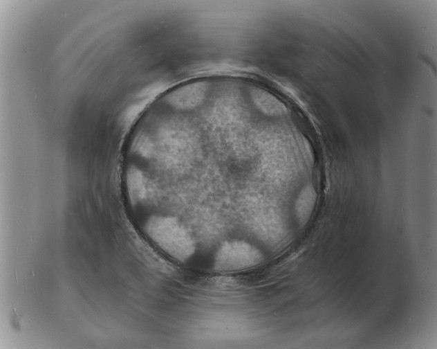 X0000102781463200809151052