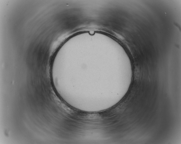 X0000102781464200809151052