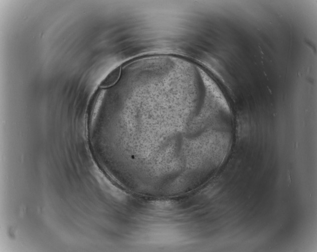 X0000102781468200809151052