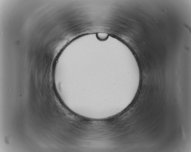 X0000102781469200809151052