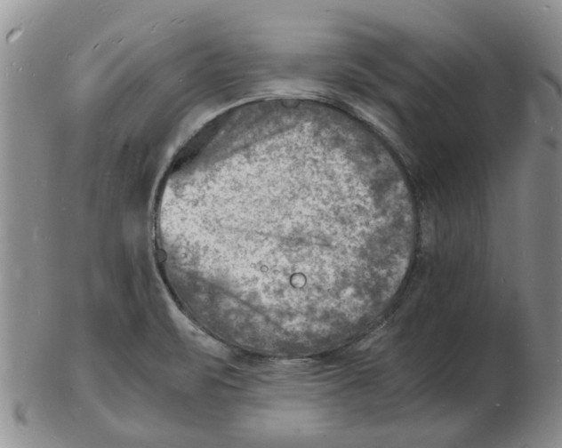 X0000102781471200809151052