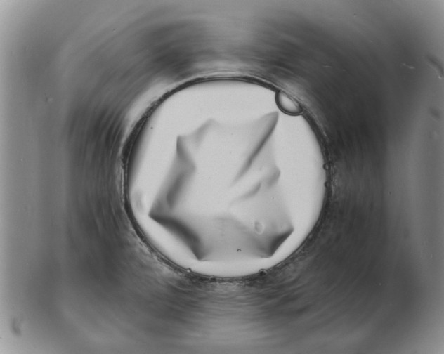 X0000102781472200809151052