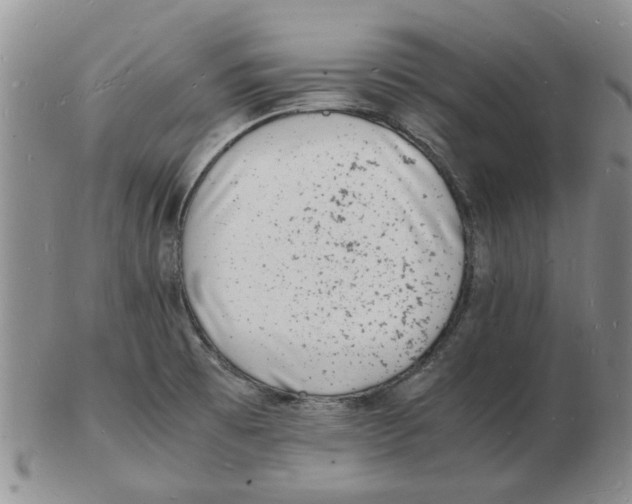 X0000102781473200809151052