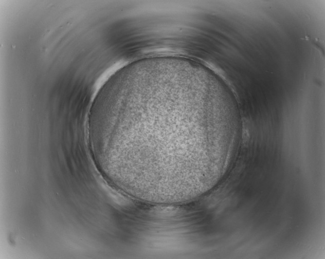 X0000102781474200809151052