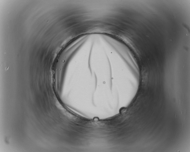 X0000102781476200809151052