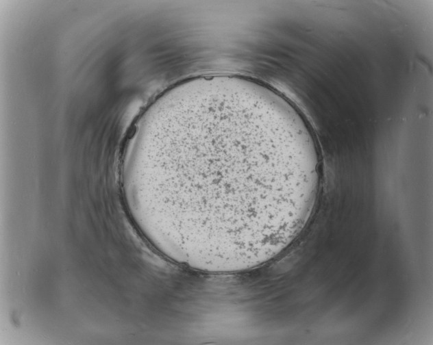 X0000102781477200809151051