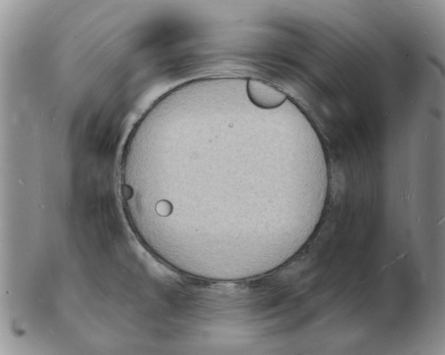 X0000102781478200809151051