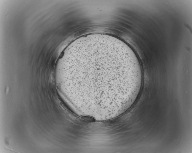 X0000102781481200809151051