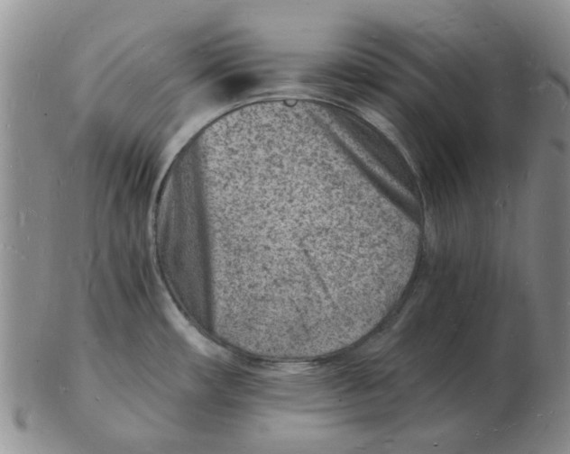 X0000102781482200809151051