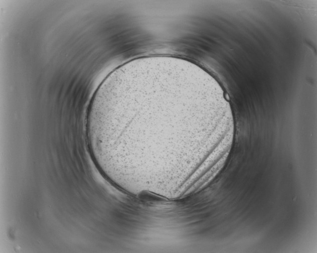 X0000102781483200809151051