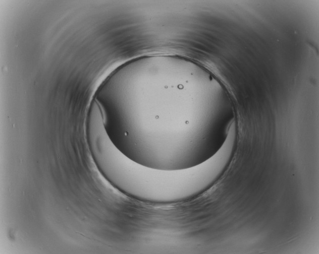 X0000102781484200809151051