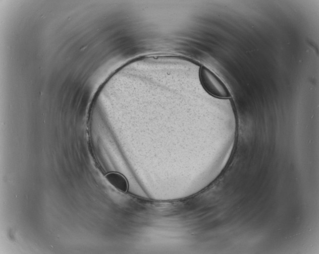 X0000102781485200809151051