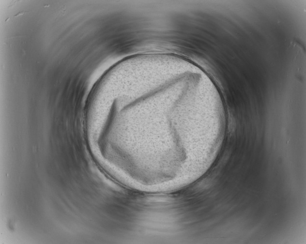 X0000102781486200809151051