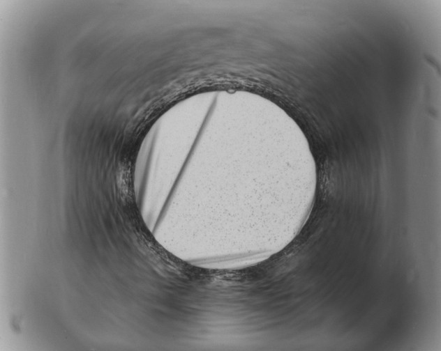 X0000102781490200809151051