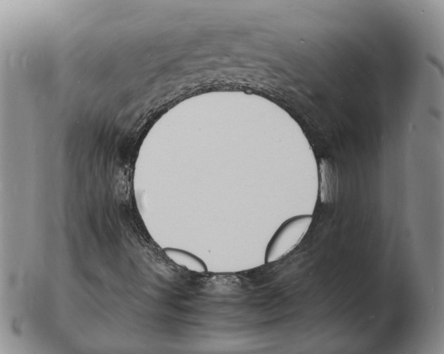 X0000102781491200809151051