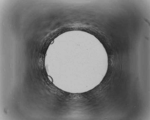 X0000102781493200809151051